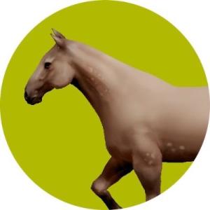 Horse Browser